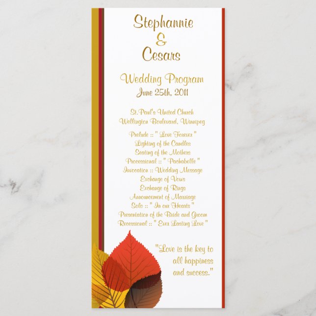 Folhagem do Programa de Casamento 25 4x9 (Frente)