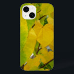 Folhas amarelas e verdes de Redbud<br><div class="desc">A forma cardíaca das folhas rebobinadas as torna interessantes de olhar. Esta cena do outono mostra uma variedade de folhas rebaixadas que vão do verde ao amarelo. Vejam a nossa loja para mais belas fotos de folha de outono. Esta imagem também é apresentada como o wallpaper widescreen "Yellow and Green...</div>