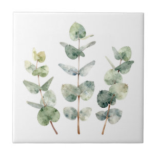 Folhas Botânicas de Eucalipto em Aquarela
