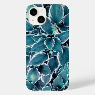 Folhas Brancas e Teares