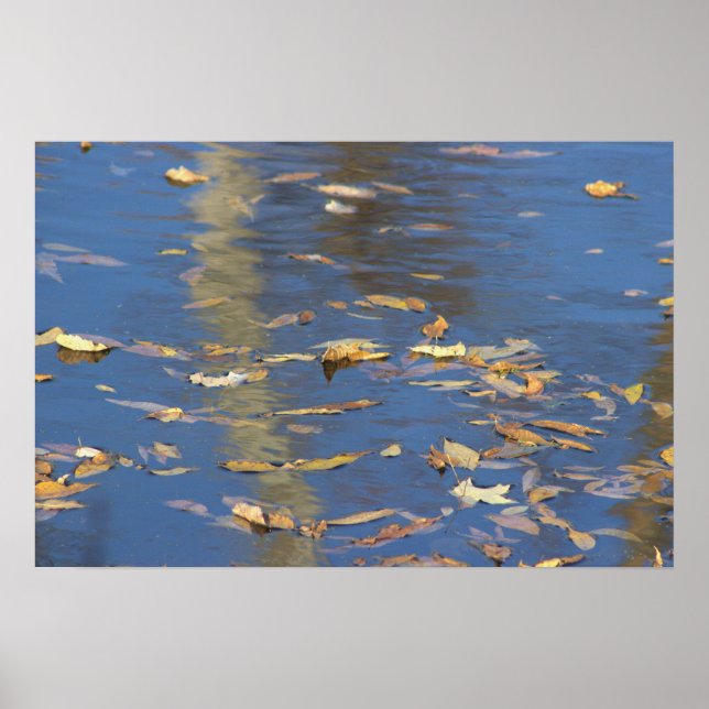 Folhas caídas na Poster de água (Frente)
