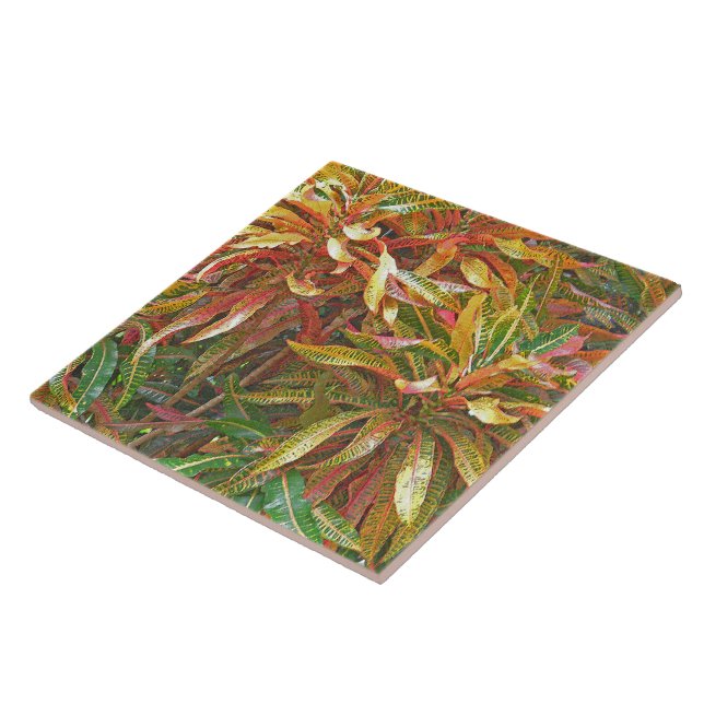 "FOLHAS COLORIDAS DO TIPO FRIBBÃO" AZULEJO/TRIVET  (Lateral)