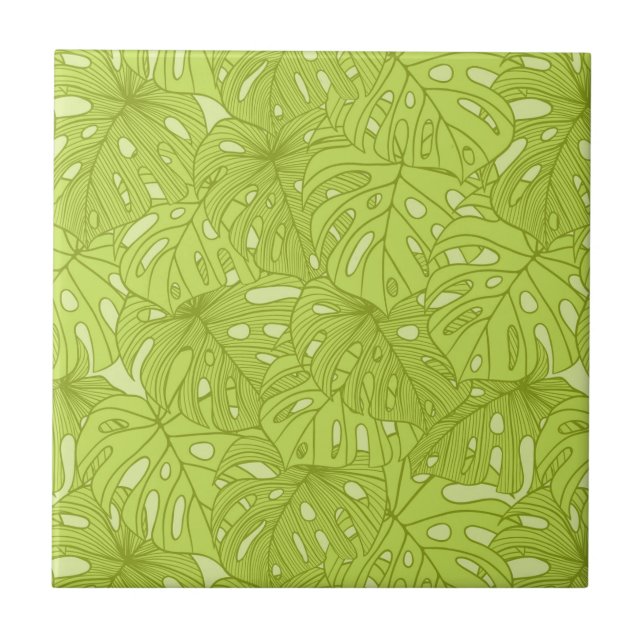 Folhas da palmeira (Frente)