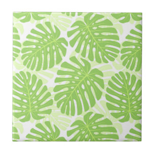 Folhas da planta tropical - teste padrão de