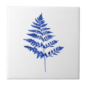 Folhas da samambaia da aguarela do azul de índigo