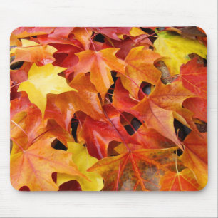 Folhas de árvore caídas mousepad Laranja Amarelo V