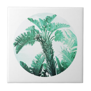 Folhas de Árvore de Banana Verde Clara