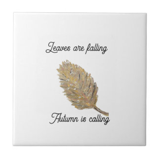 Folhas de Azulejo de cerâmica branca em queda