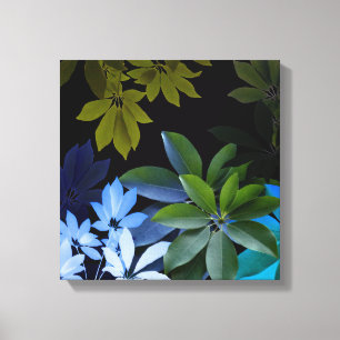 Folhas de Canvas
