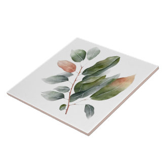 Folhas de Eucalyptus com Aquarela