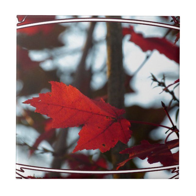 Folhas de Férias (Frente)