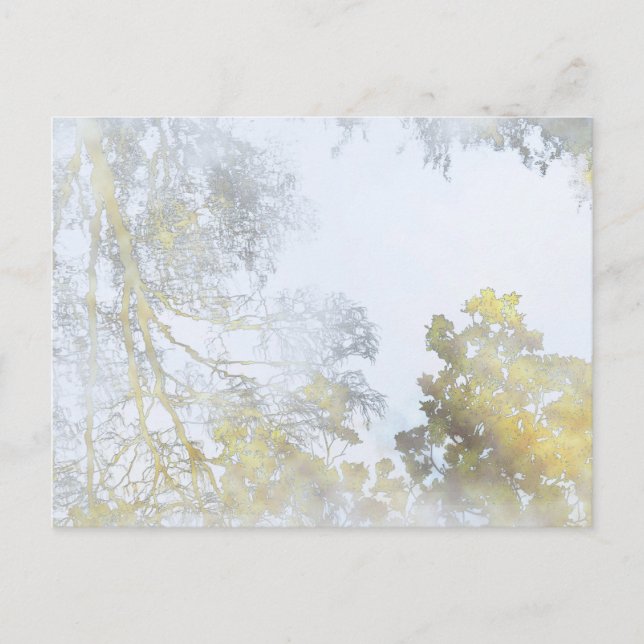 Folhas de folhas refletidas no cartão postal Água (Frente)