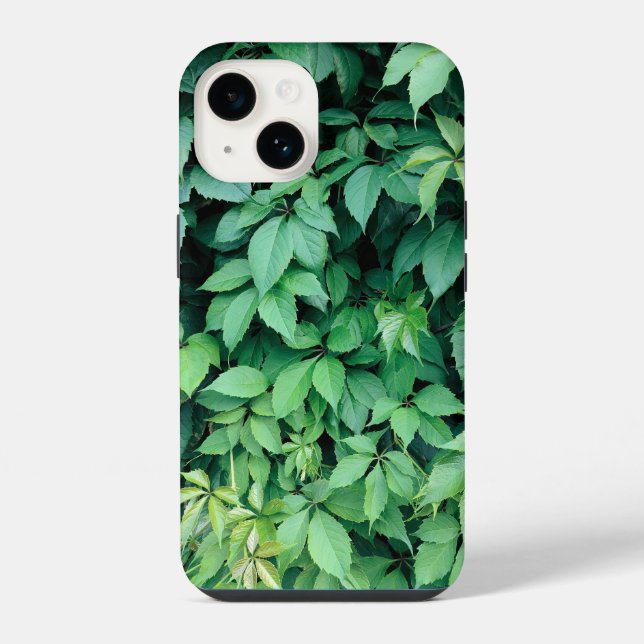 Folhas de Grama Verde (Verso)
