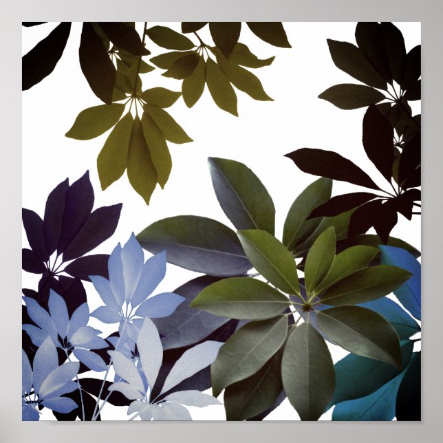 Folhas de Indigo, Plantas poster (Frente)