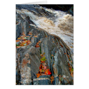 Folhas de Livermore: Cartão