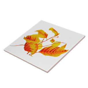 Folhas de madeira em Azulejo cerâmico