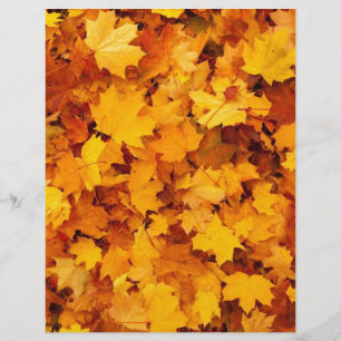 Folhas de Mapeamento Amarelo de outono