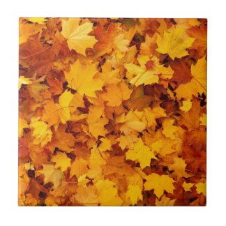 Folhas de Mapeamento Amarelo de outono