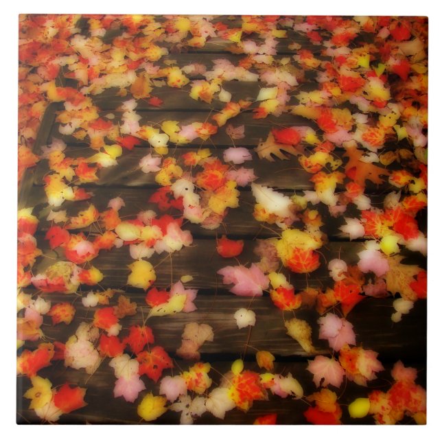 Folhas de Mapeamento de Outono Amarelo Brilhante (Frente)