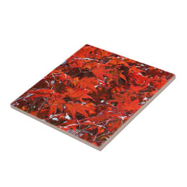 Folhas de Mapeamento Vermelho Japonês Elegante