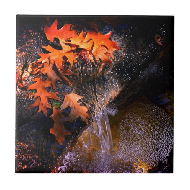 Folhas de Maple (Frente)