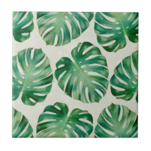 Folhas de Monstera
