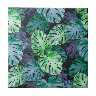 Folhas de Monstera Tropicais