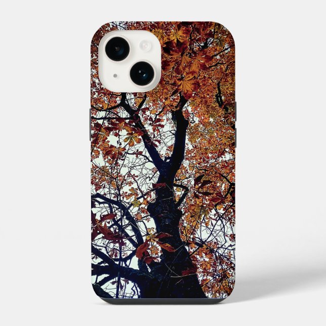 Folhas de ouro (Verso)