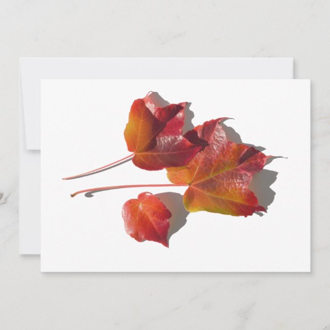 Folhas de outono (Frente)