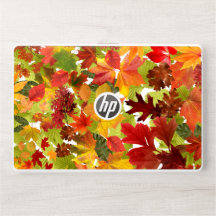 Folhas de outono do outono