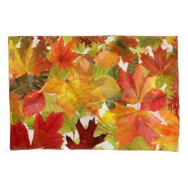 Folhas de outono do outono