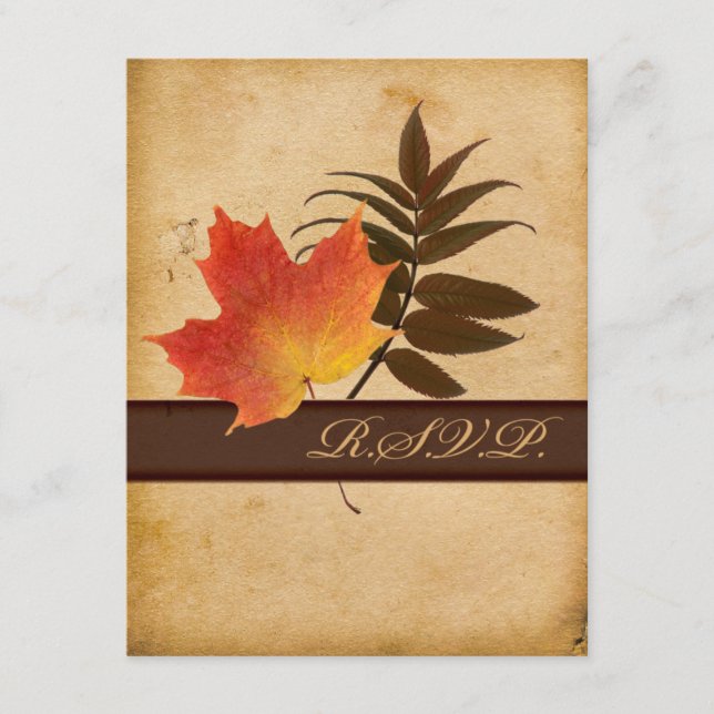 Folhas de Outono em Papel Envelhecido Cartão de Re (Frente)