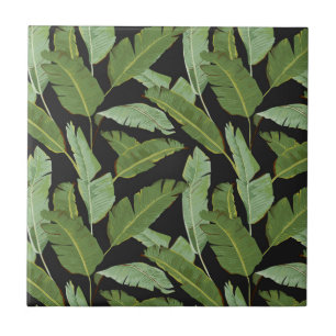 Folhas de Palm