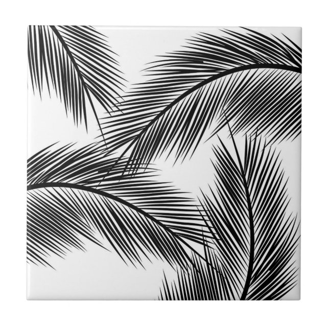 Folhas de palma pretas sobre fundo branco (Frente)