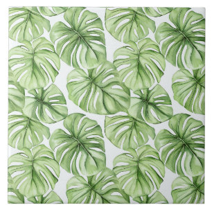 Folhas de Palma Verde Tropicais