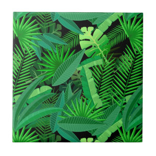 Folhas de palmeiras tropicais