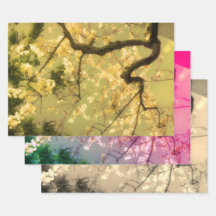 Folhas de Papel de Embalagem: Coleção Floral Japon