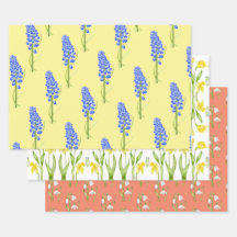 Folhas de papel de enrolamento de Primavera terres