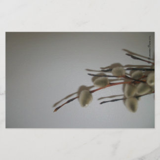 Folhas de papelaria (PussyWillows) Sinais de SDCs 