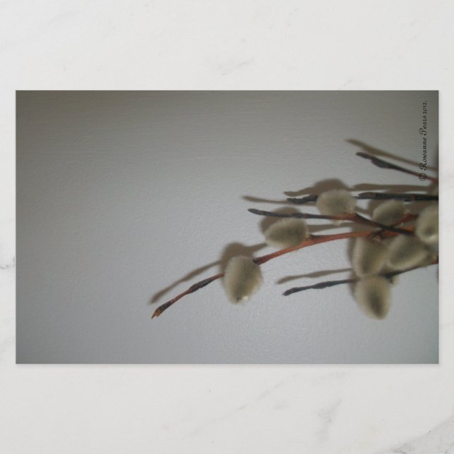 Folhas de papelaria (PussyWillows) Sinais de SDCs  (Frente)