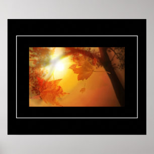 Folhas de poster