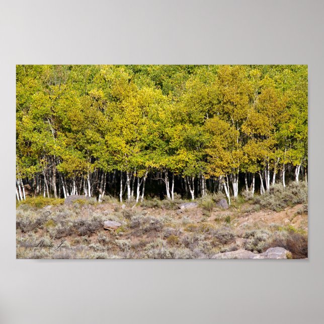 Folhas de queda em uma Canvas ou Poster (Frente)
