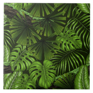Folhas de selva