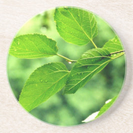 Folhas de Verão com Porta copos de Raindrops