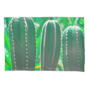 Folhas do cacto verde Pastel