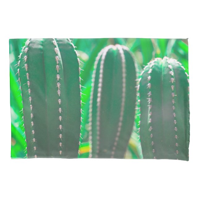 Folhas do cacto verde Pastel (Frente)
