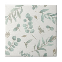 Folhas do eucalipto no fundo do bege da aguarela