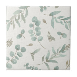 Folhas do eucalipto no fundo do bege da aguarela