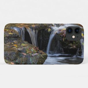 Folhas E capas de iphone De Quedas