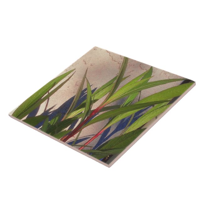 Folhas e Sombras (Lateral)